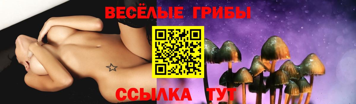 Мурманск  Галлюциногенные грибы Psilocybe  Псилоцибиновые грибы ЛСД  Вход с VPN 